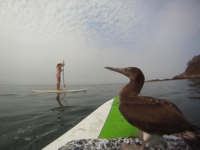  Rowing in company 